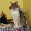 Отзыв от Александра Бондарева
